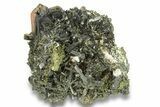 Lustrous, Epidote Crystal Cluster on Actinolite - Pakistan #257765-1